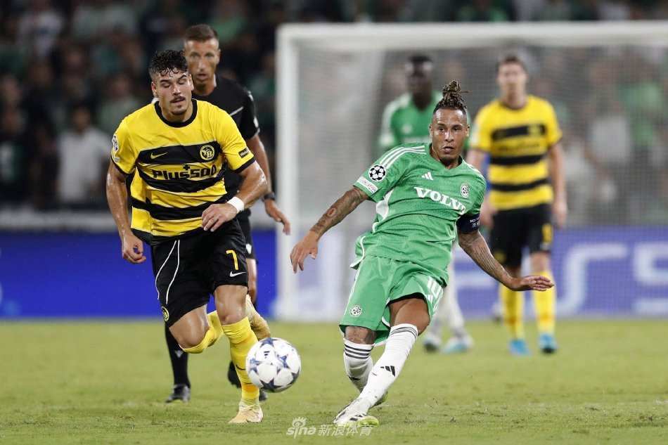 样会影响纽 样会影响纽